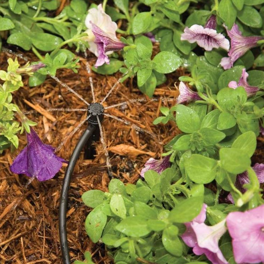 rain-bird-micro-sprueher-sxb-im-einsatz-mhb-beregnung-galeriebild